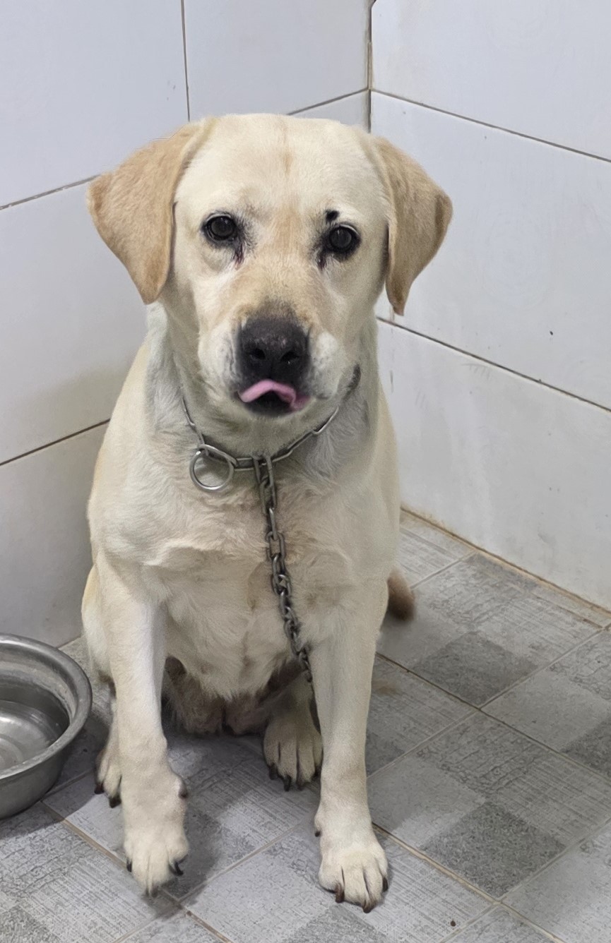 종료(반환) 라브라…