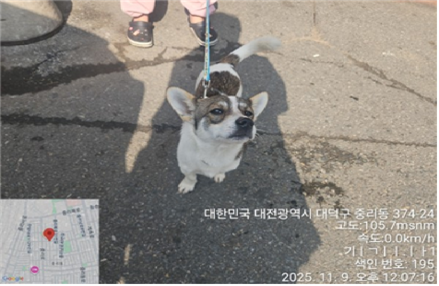 대전동물보호센터_430368202500472