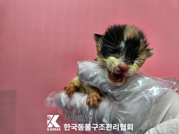 종료(자연사) 한국…