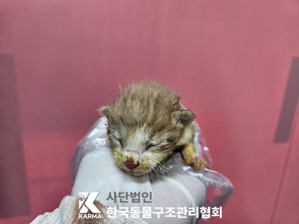 종료(자연사) 한국…