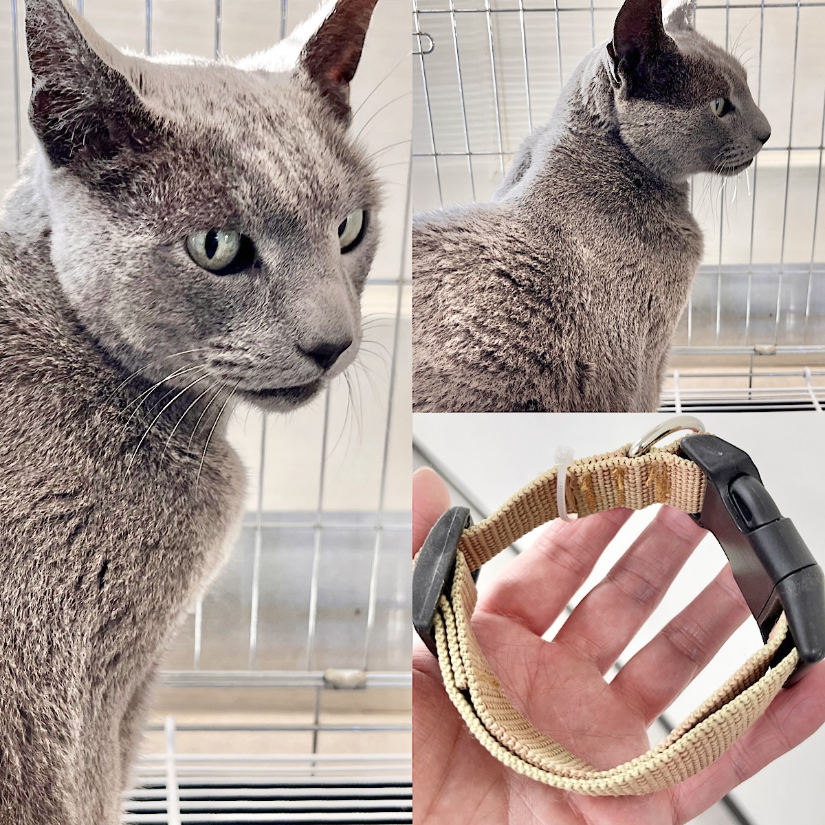 종료(반환) 러시안…