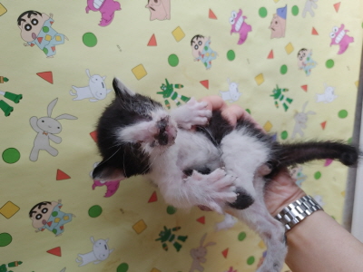 사단법인 동부_426340202500677