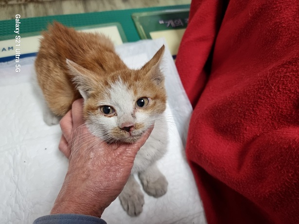 종료(자연사) 한국…