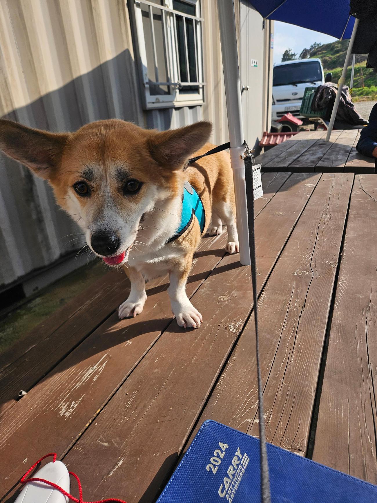 나주유기동물보호센터_446483202501849