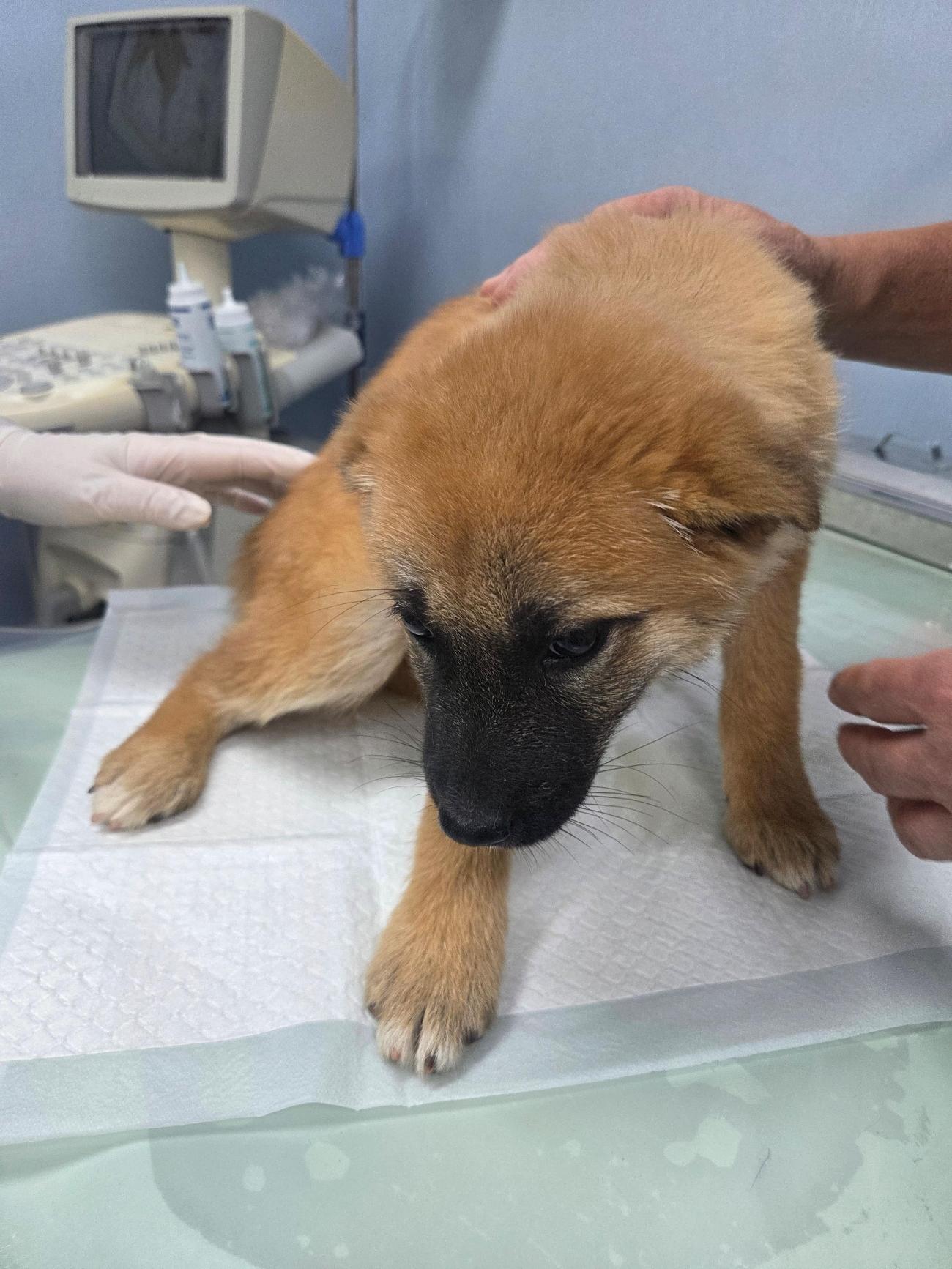 종료(자연사) 믹스…