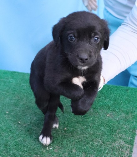 제주 동물보호센터_450650202503031