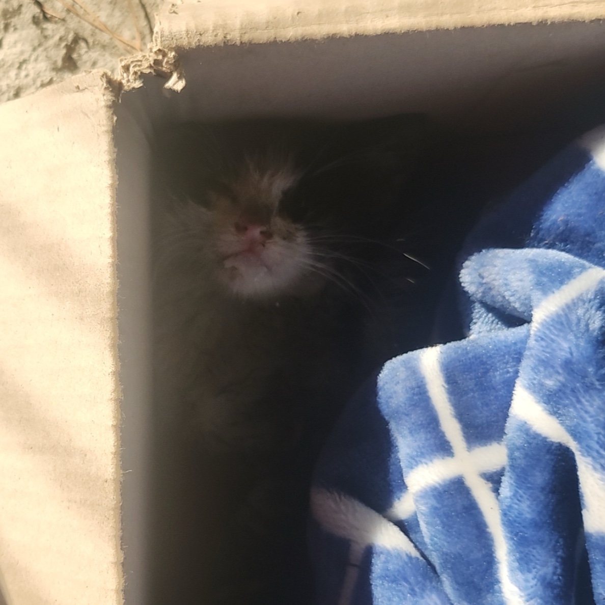 종료(자연사) 한국…