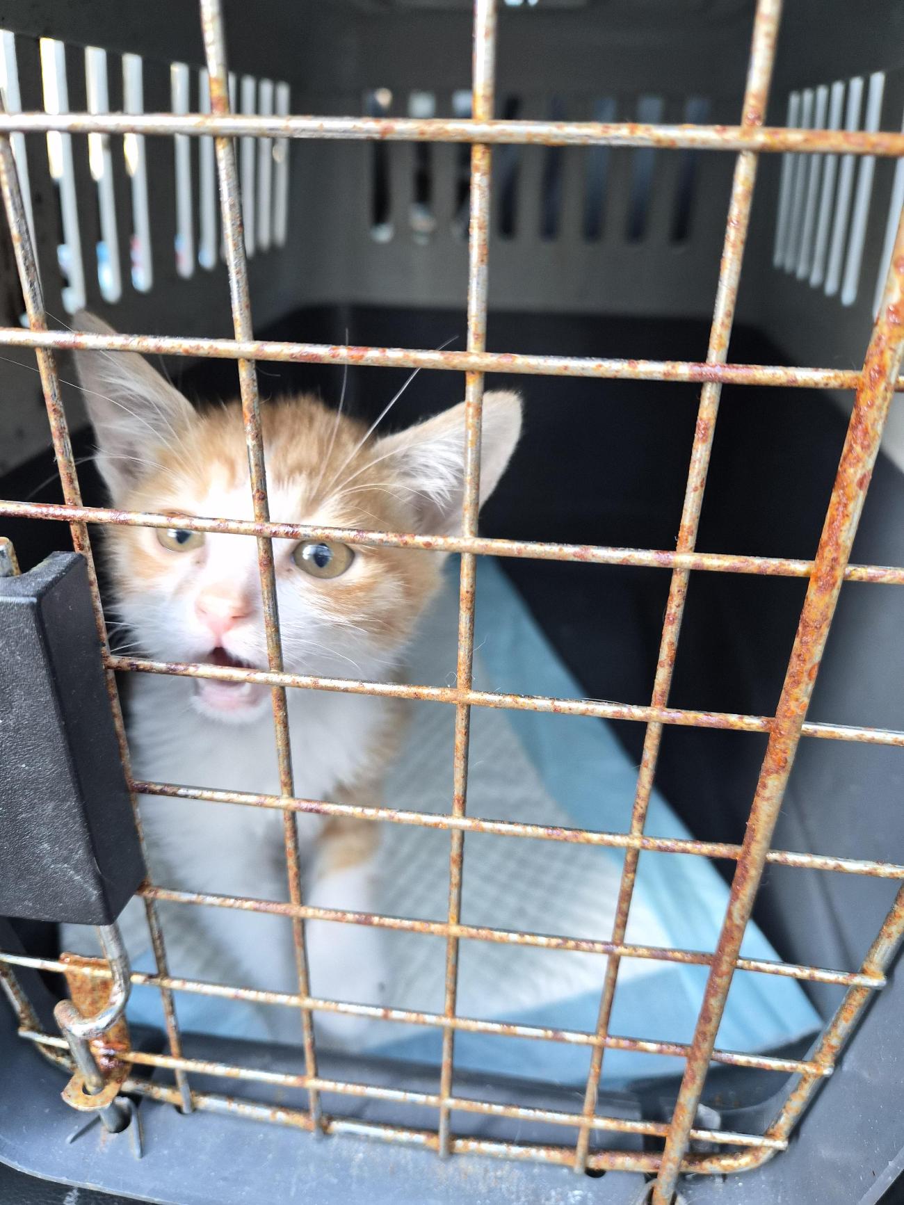 종료(기증) 한국 …