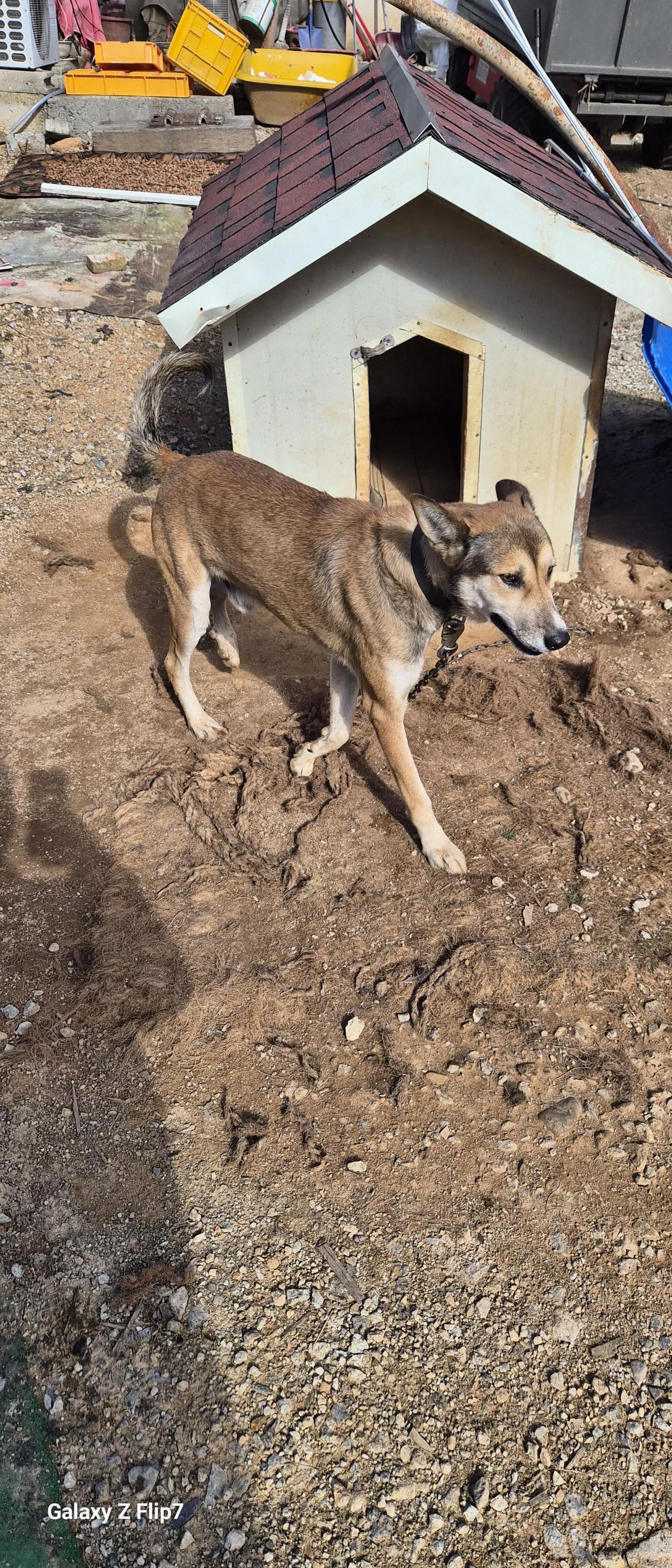 전북말산업복합센터_445471202500494