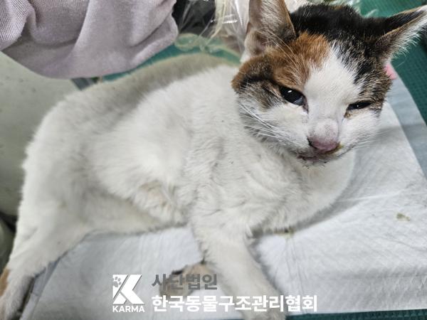 종료(자연사) 한국…