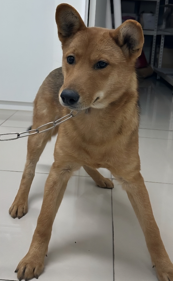 주동물병원_444558202500022