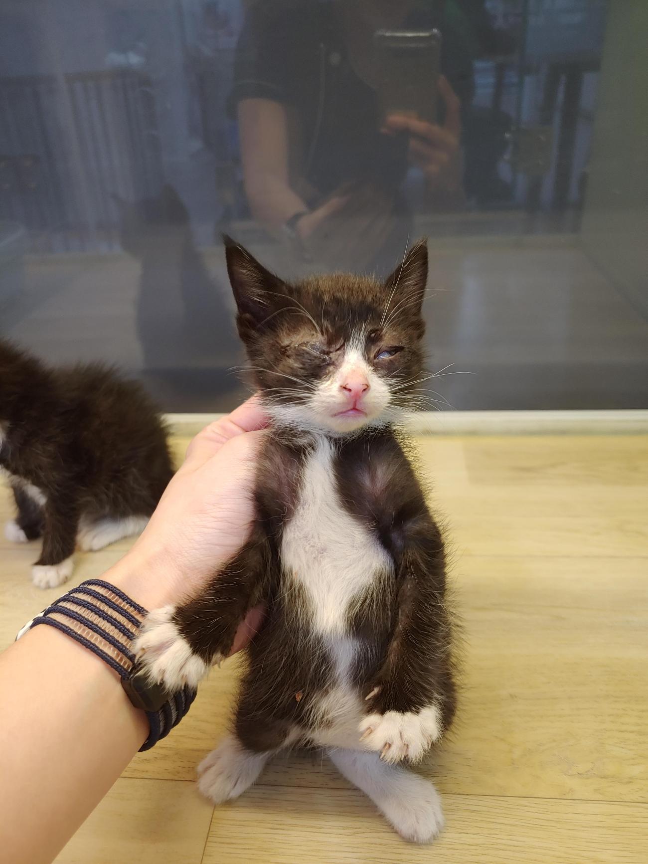 사랑동물병원_431370202500889