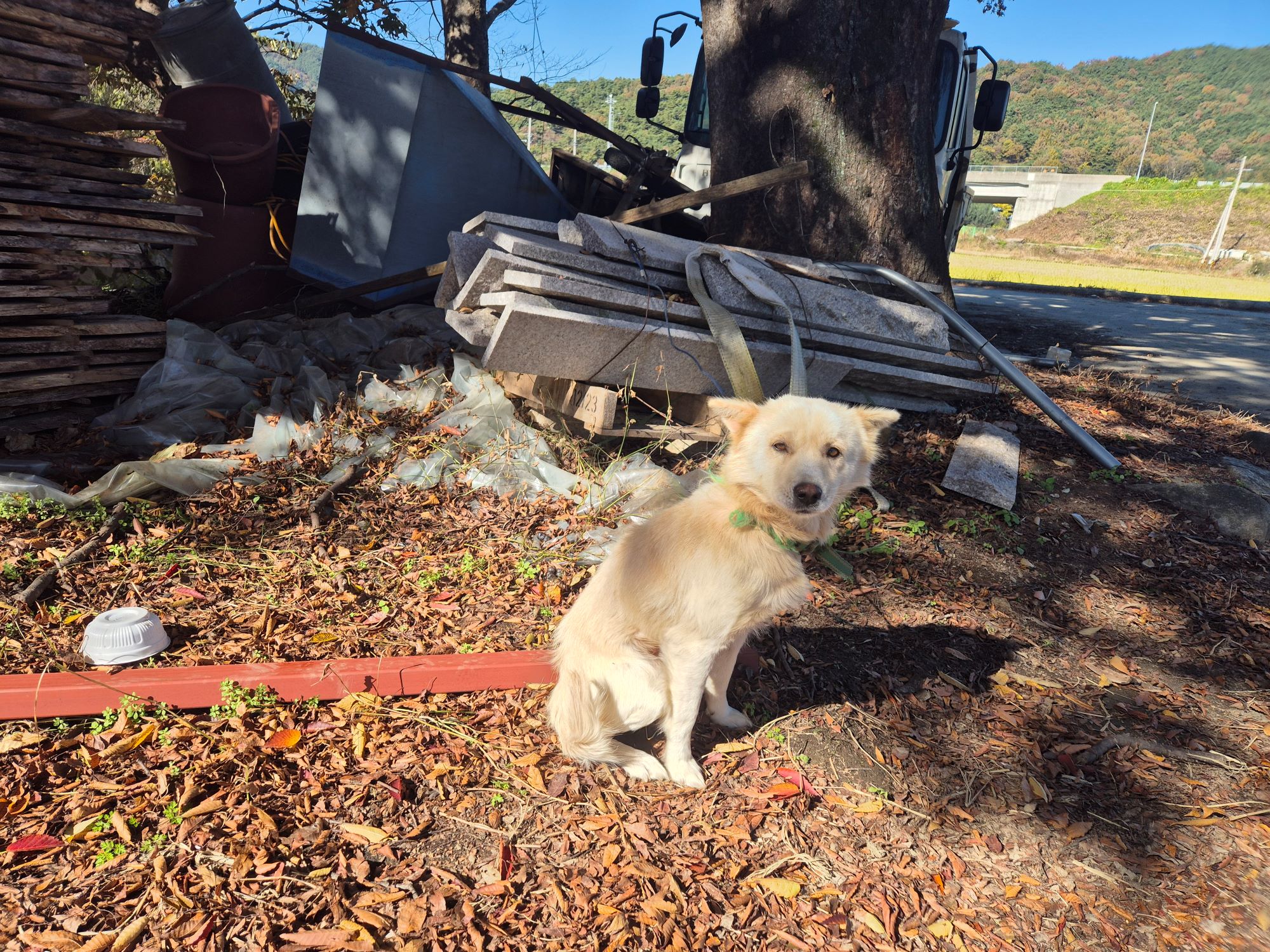 하나동물병원_445470202500997