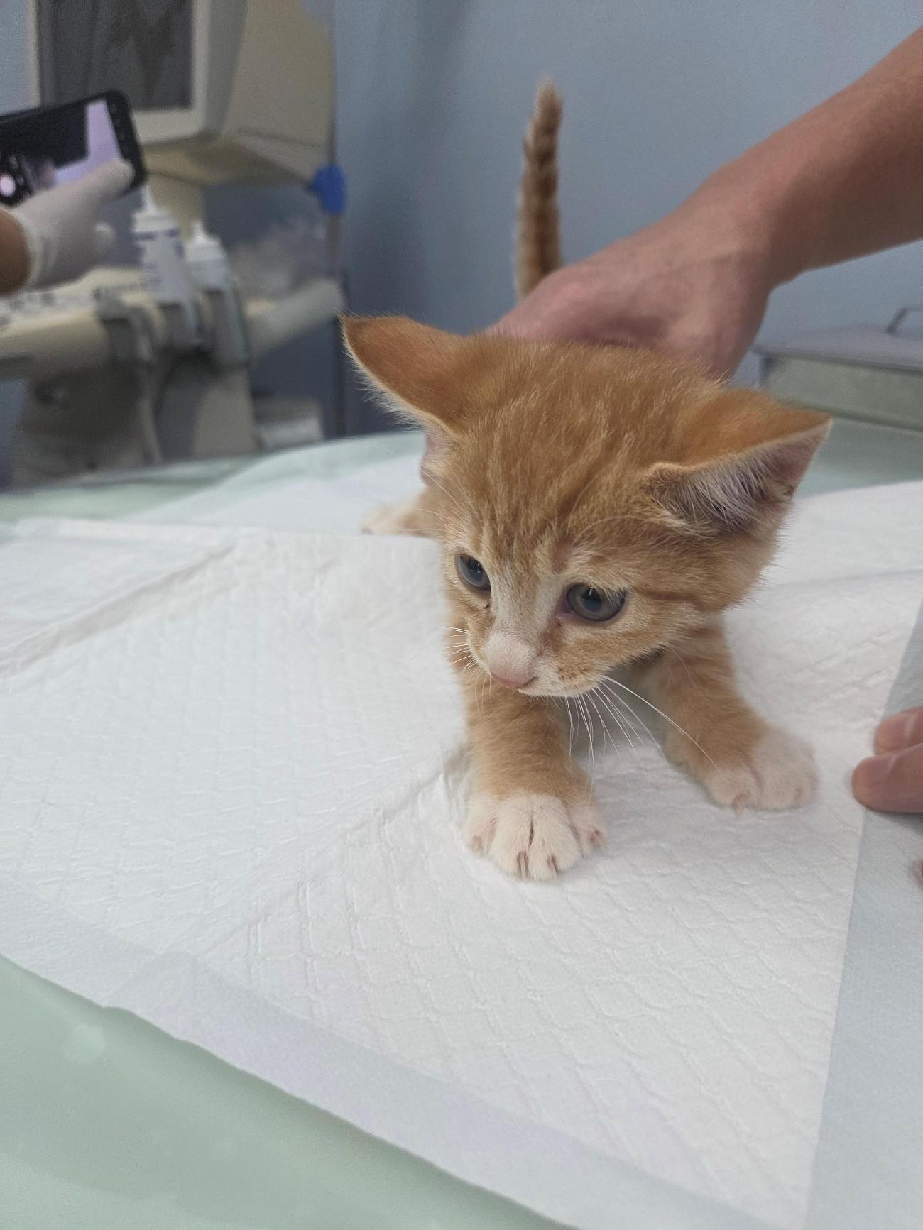 종료(자연사) 한국…