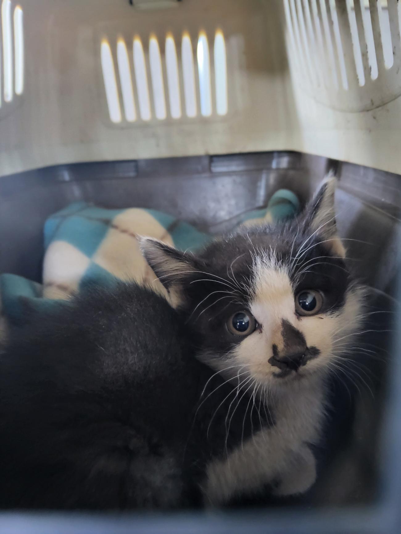 종료(자연사) 한국…