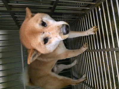 사단법인 동부_426340202500681