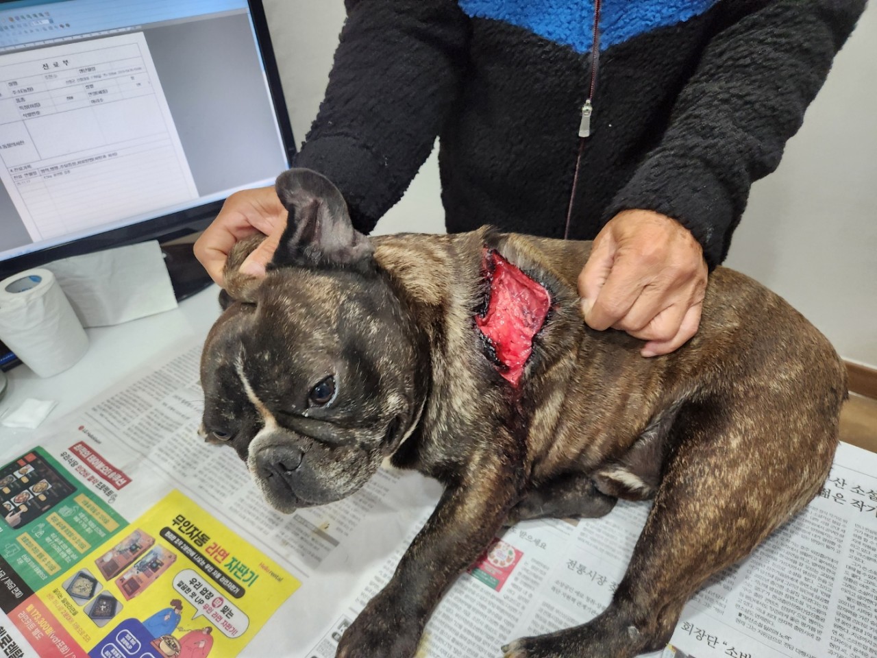 산청동물보호센터_448545202500384