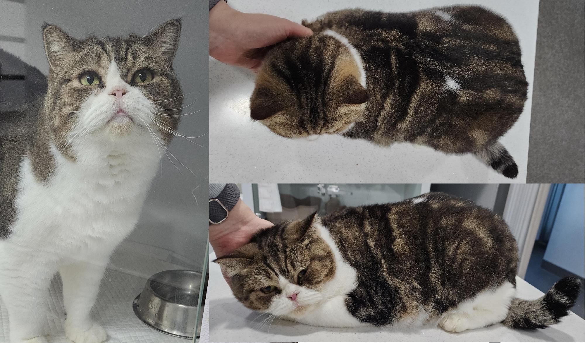 서산시 동물보호센터_444453202501316