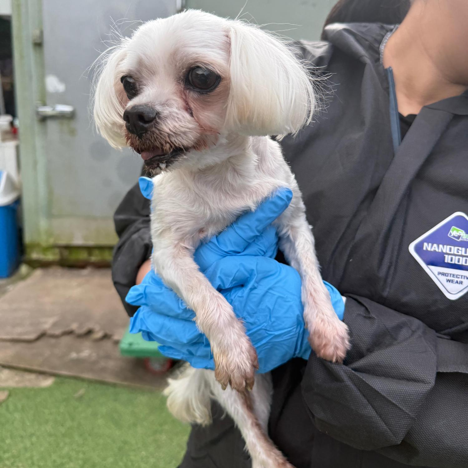 울산유기동물보호센터_431369202500745