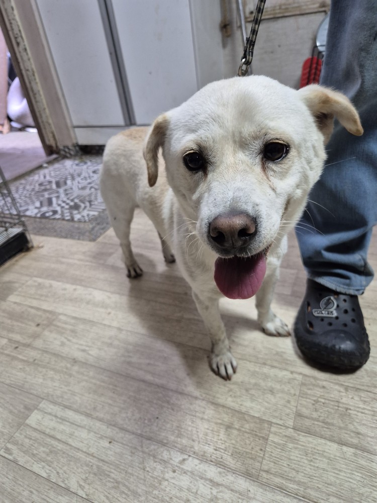 우리동물병원_428356202501613