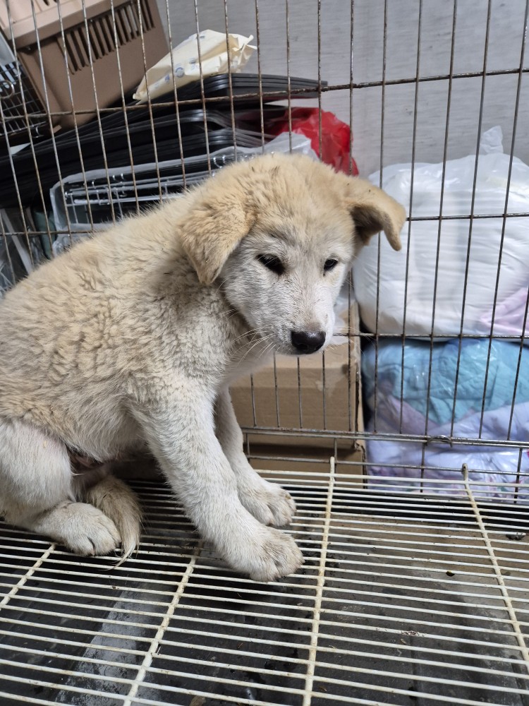 우리동물병원_428356202501616