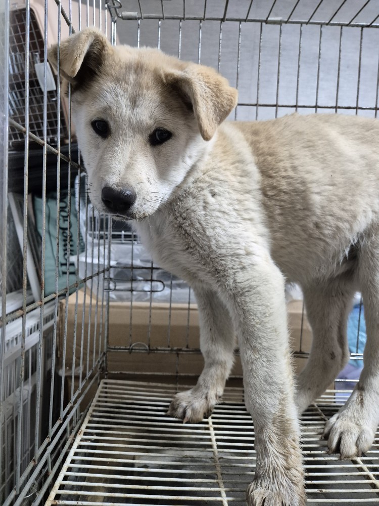 우리동물병원_428356202501615