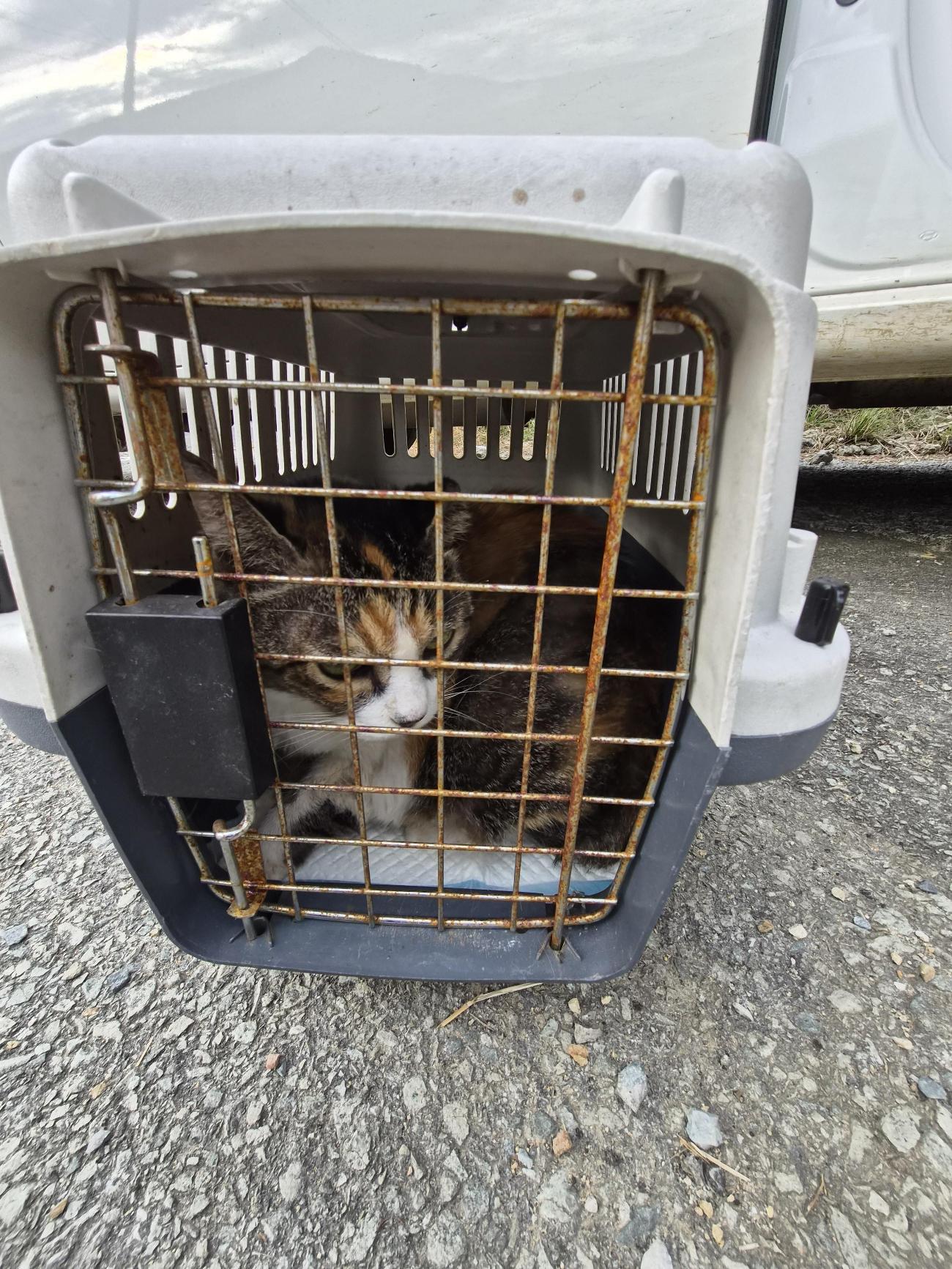 종료(기증) 한국 …