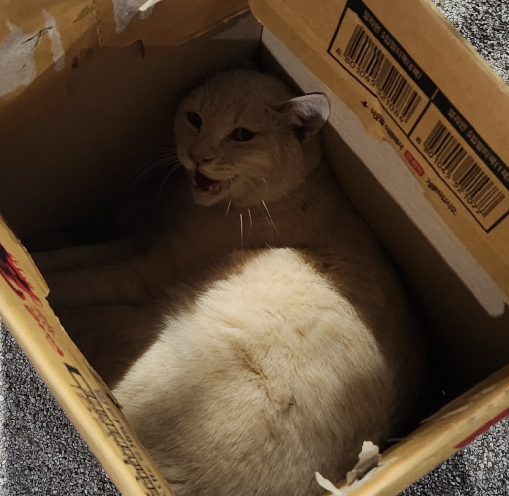 종료(자연사) 한국…