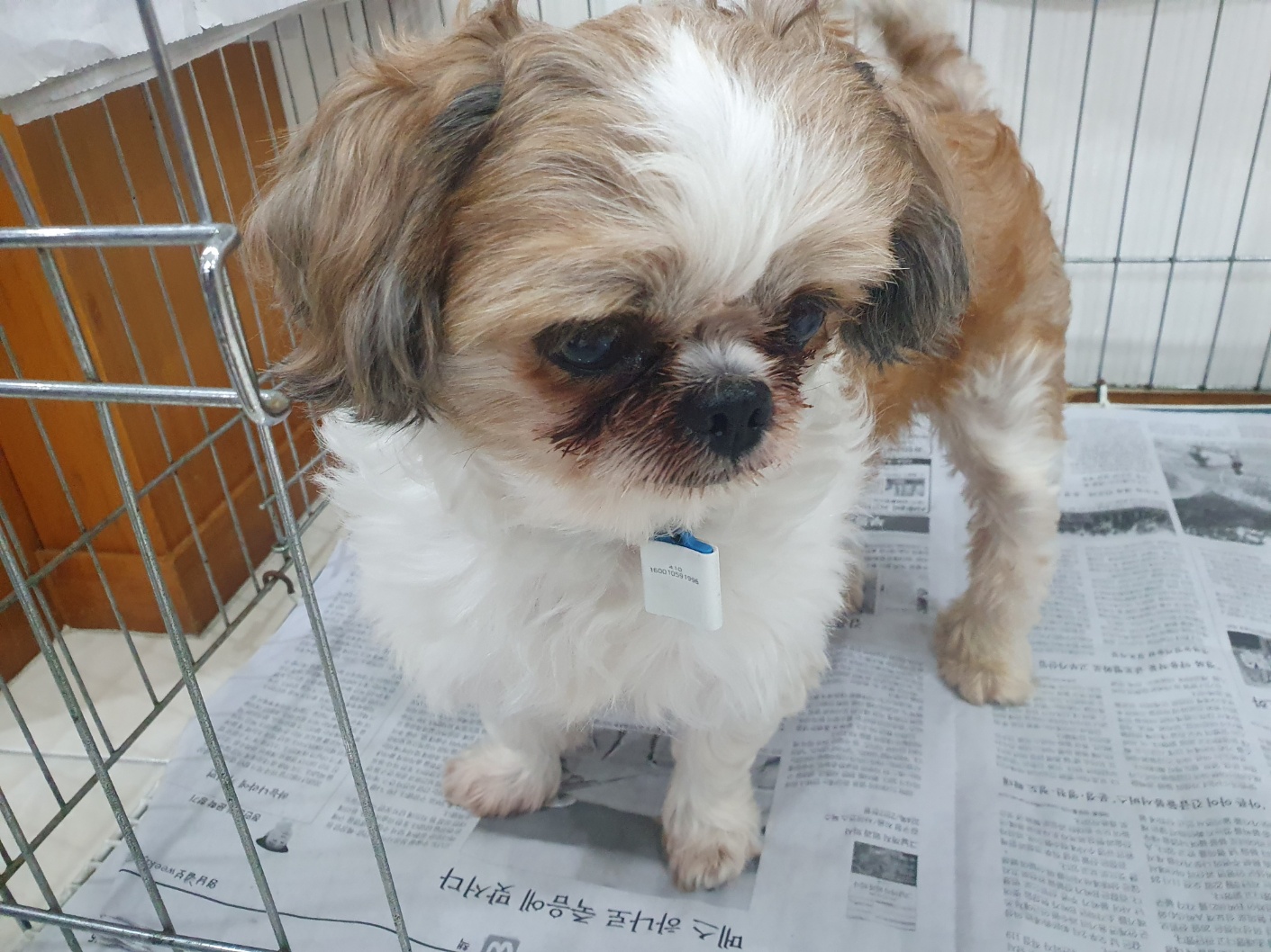 제니스동물병원_427346202501226