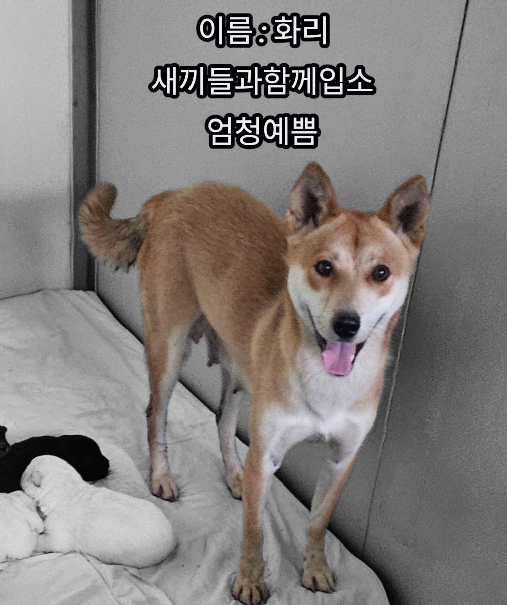 성주유기동물보호센터_447521202500519