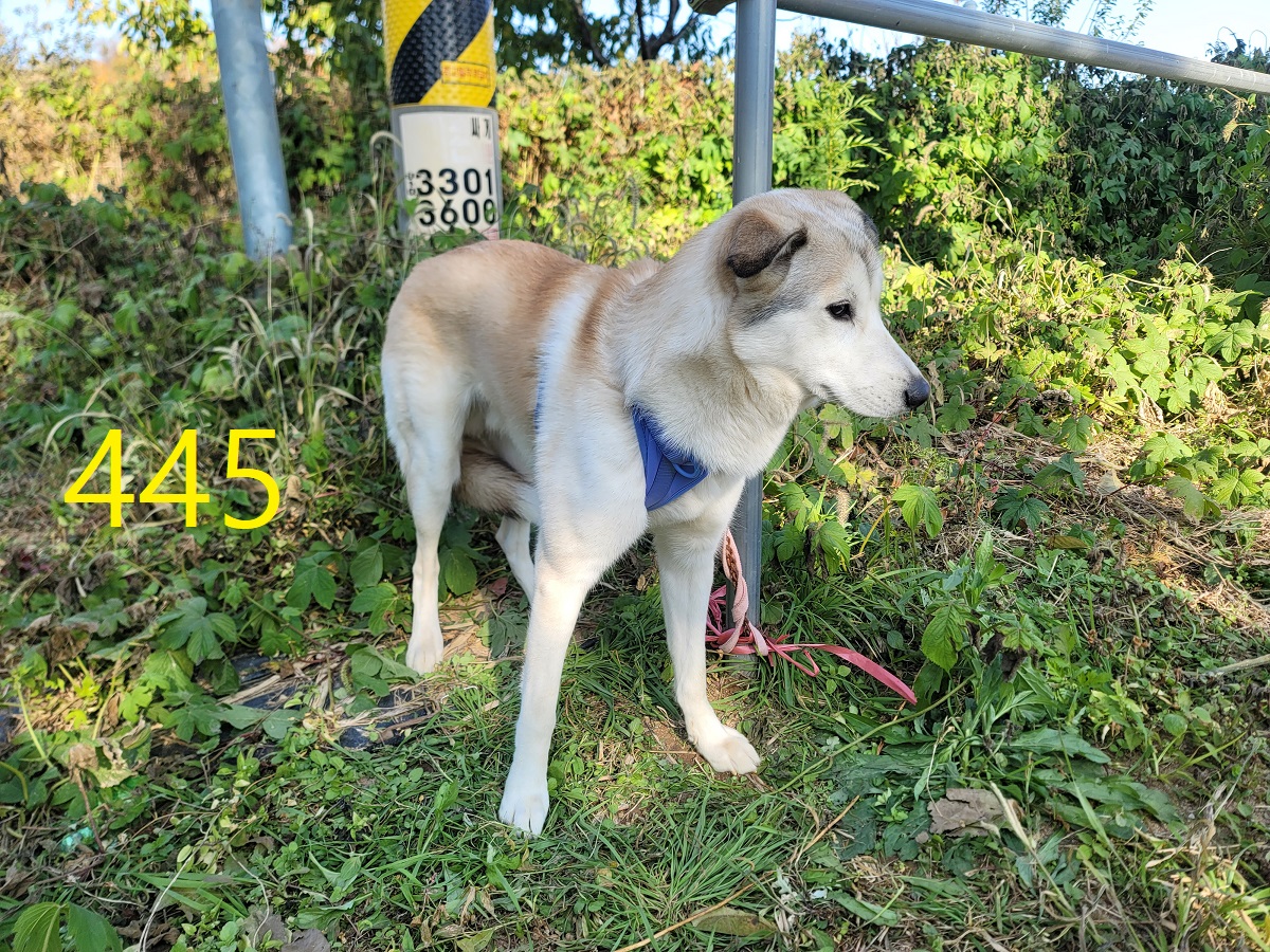 신영재동물병원_428355202500795