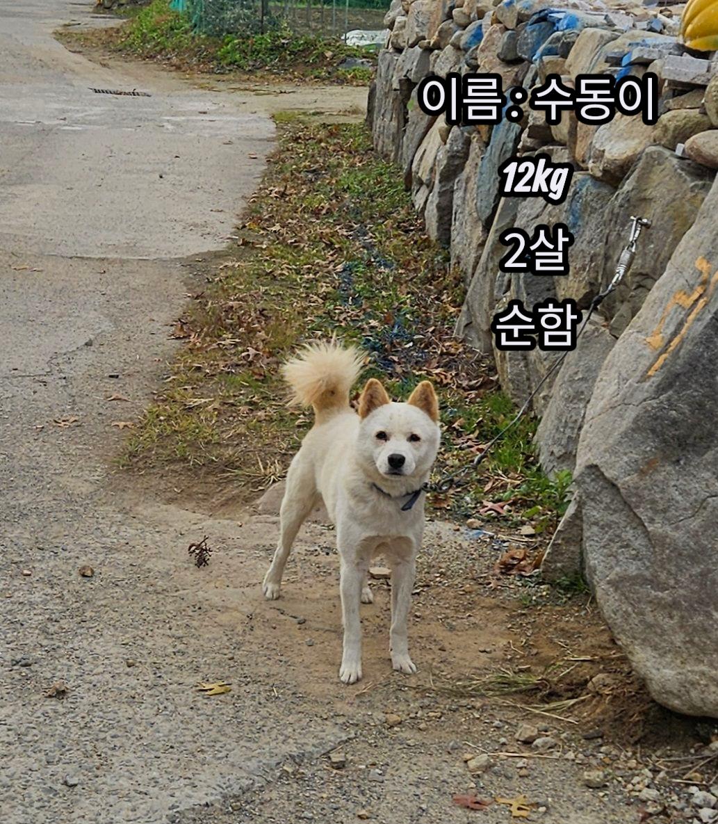 성주유기동물보호센터_447521202500518