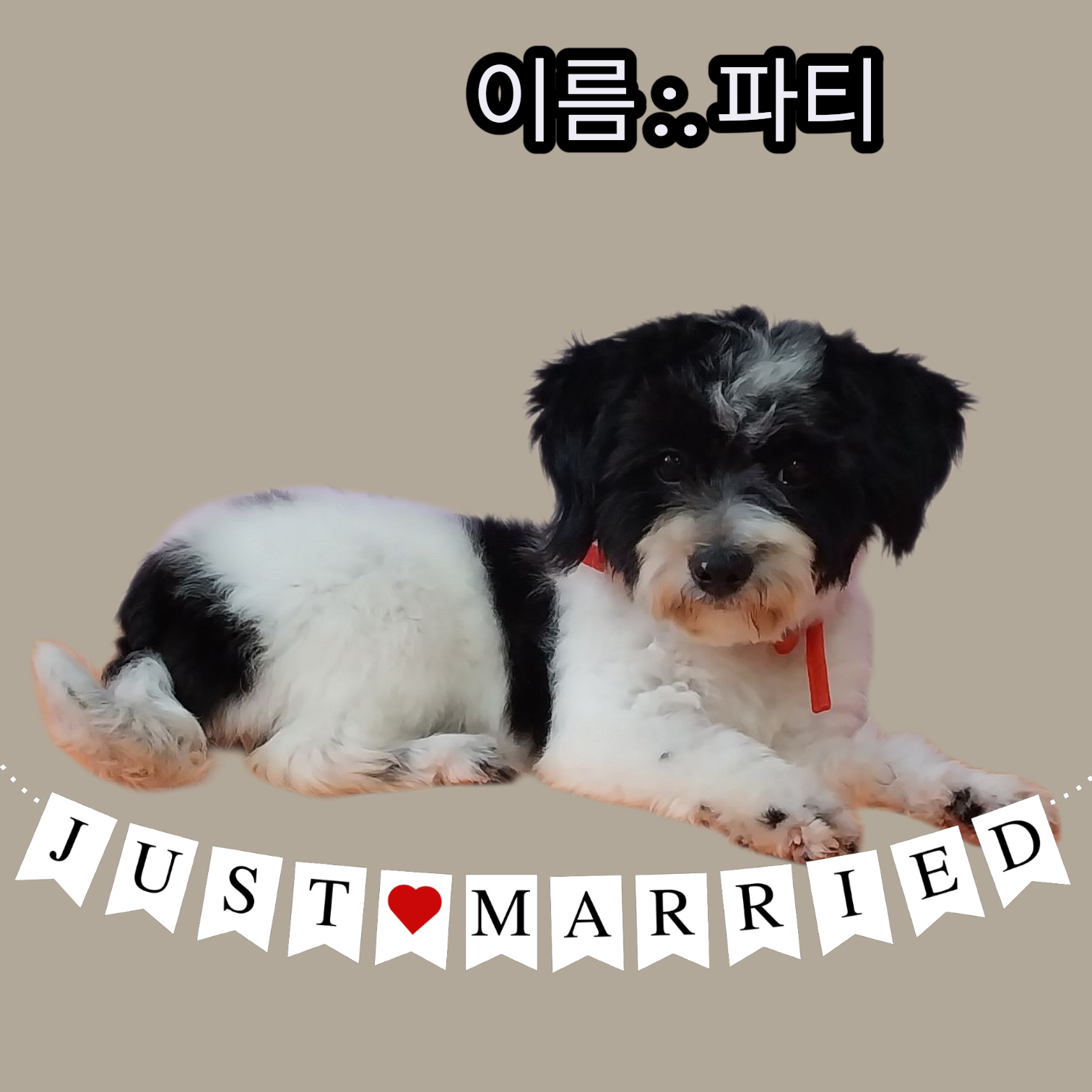 보호중 기타의 가족…