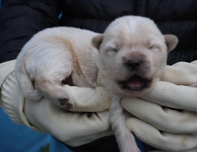 제주 동물보호센터_450650202503075