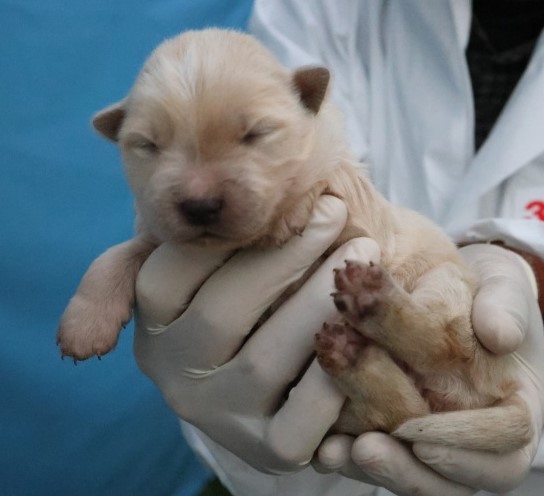 제주 동물보호센터_450650202503074