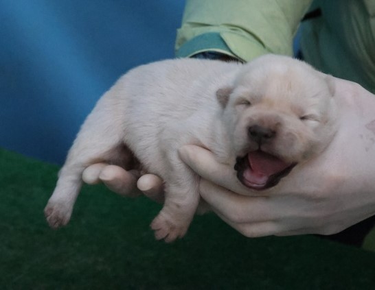 제주 동물보호센터_450650202503073