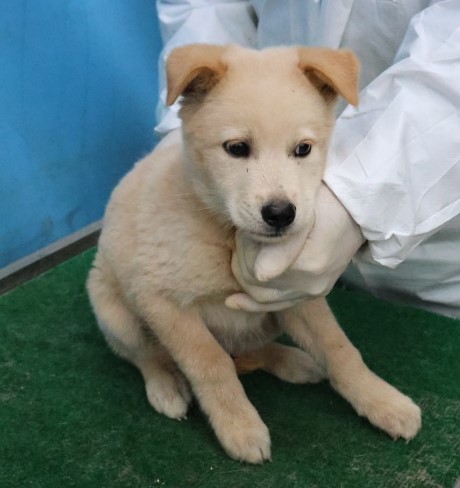 제주 동물보호센터_450650202503065