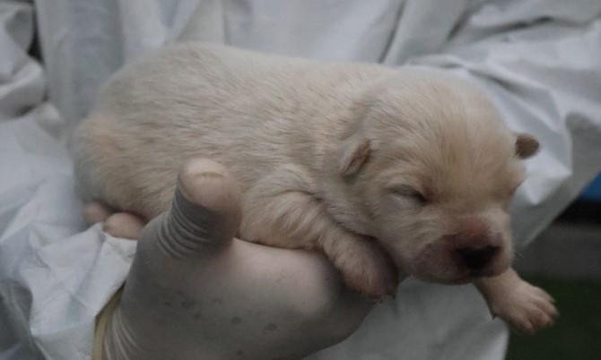 제주 동물보호센터_450650202503076