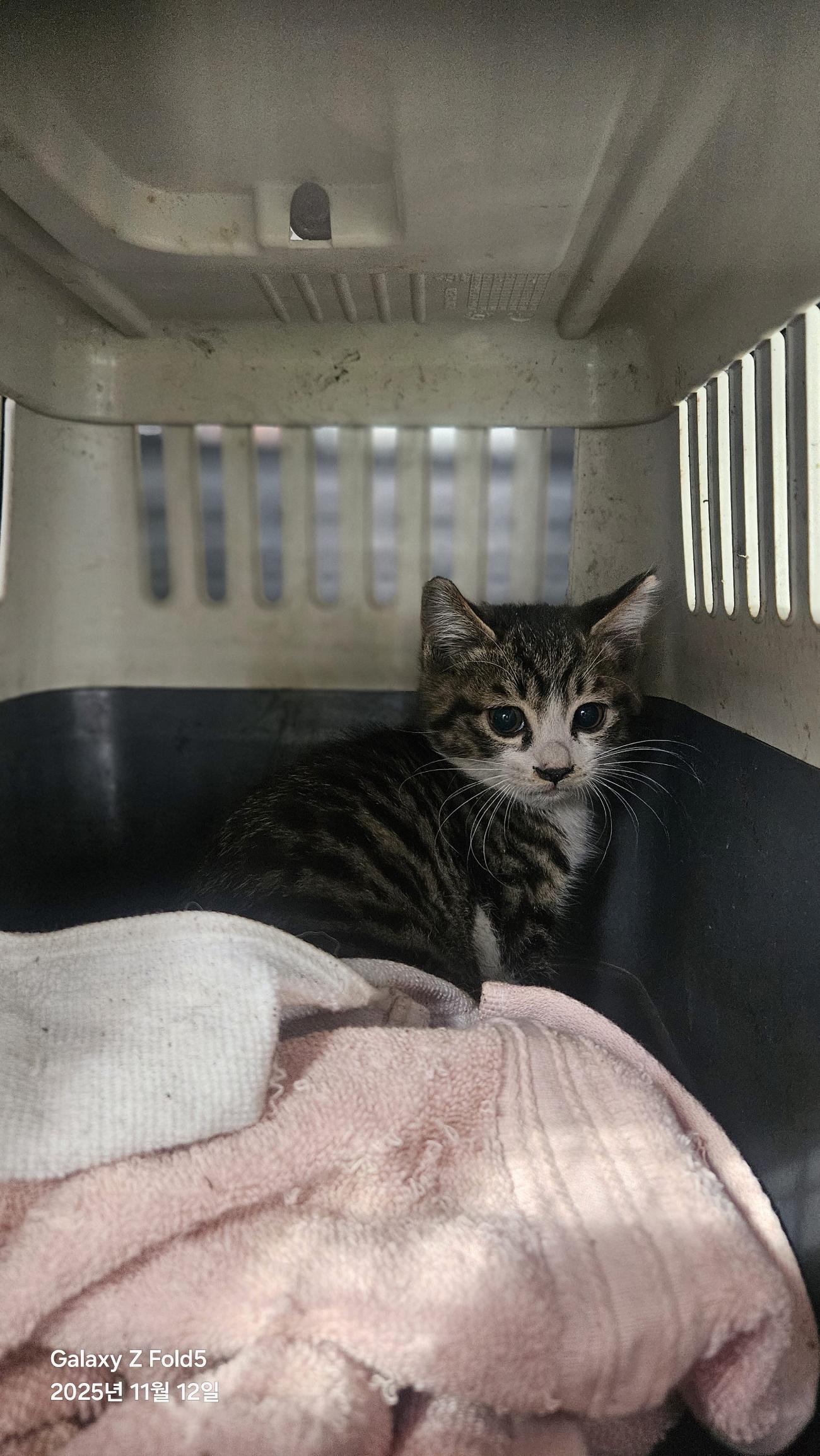 종료(자연사) 한국…