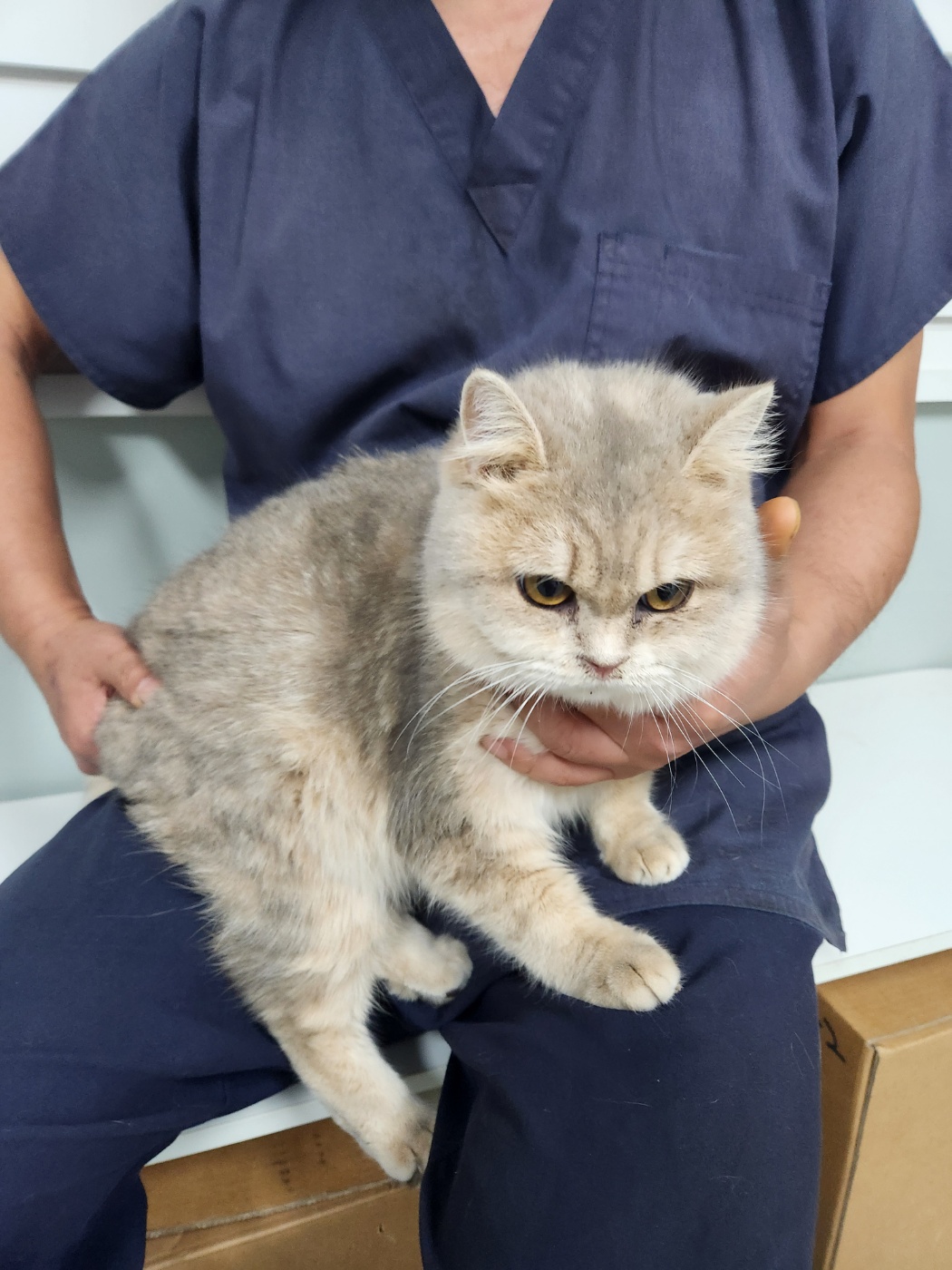 동구종합동물병원_426327202500200