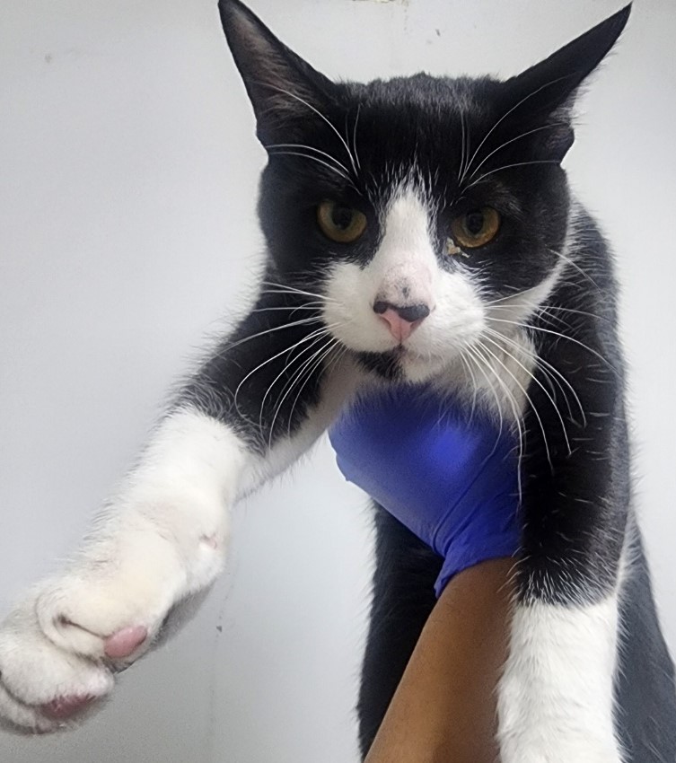 종료(자연사) 한국…