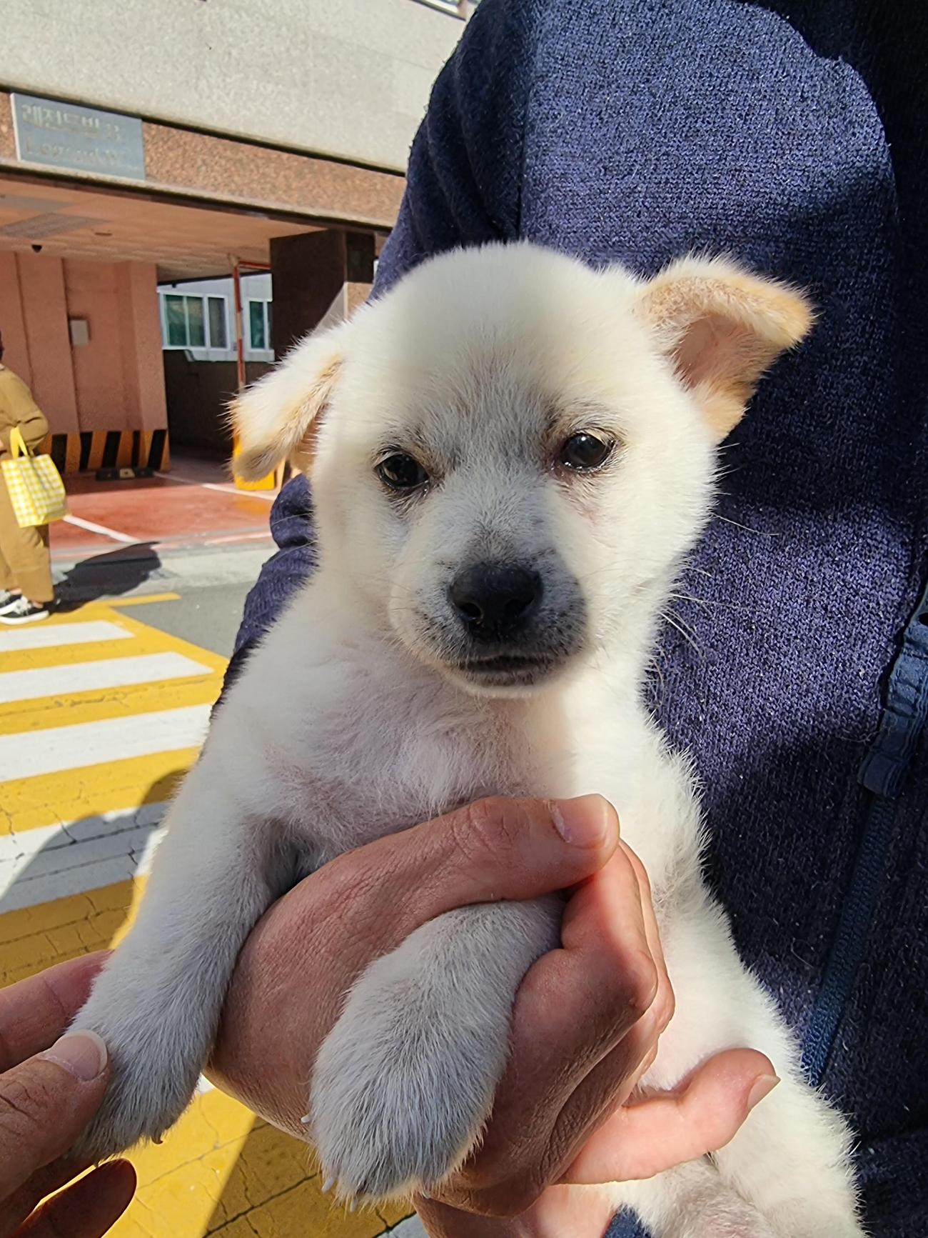 거제시동물보호센터_448537202501416