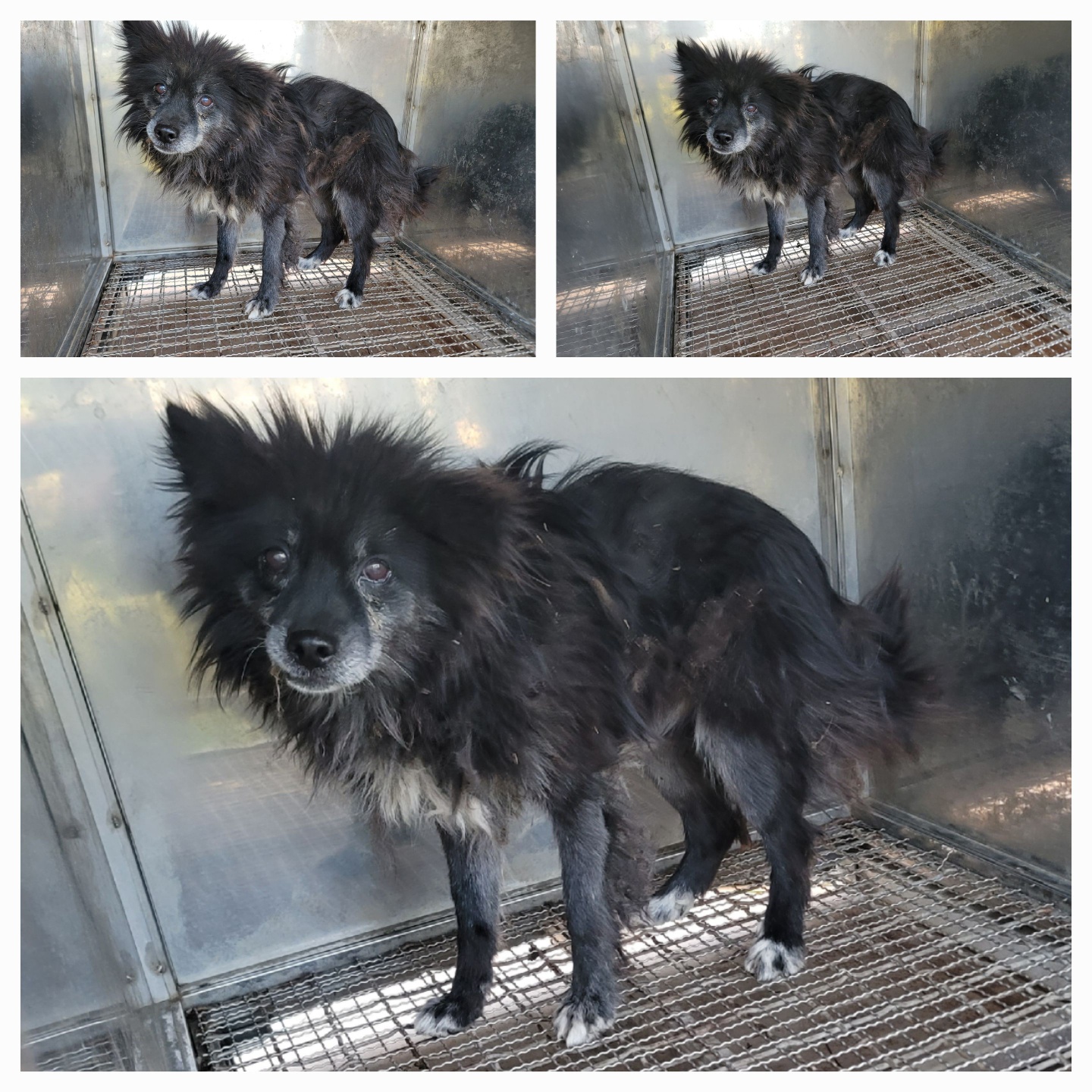 종합축산_447512202500676