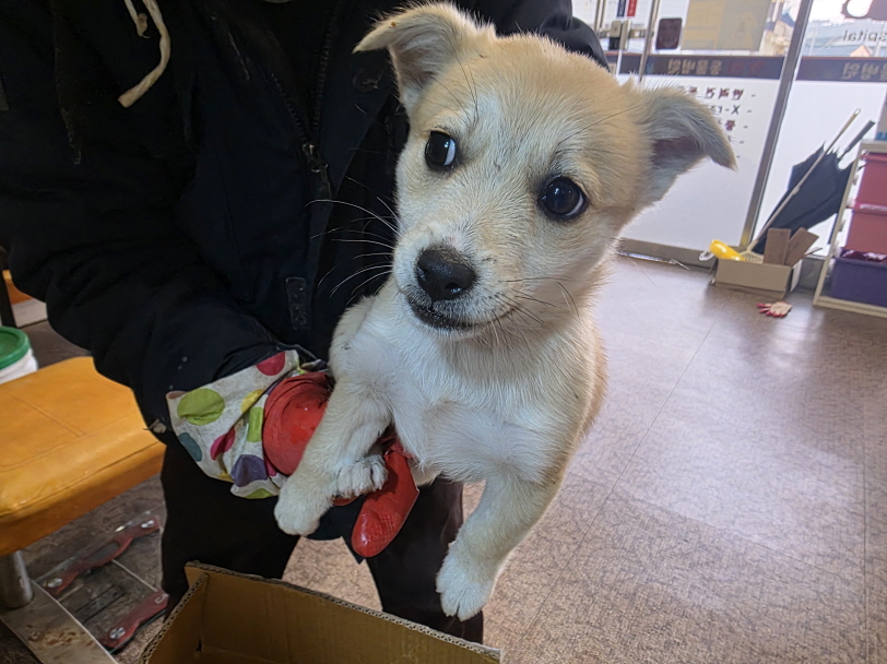 청원동물병원_445470202501002