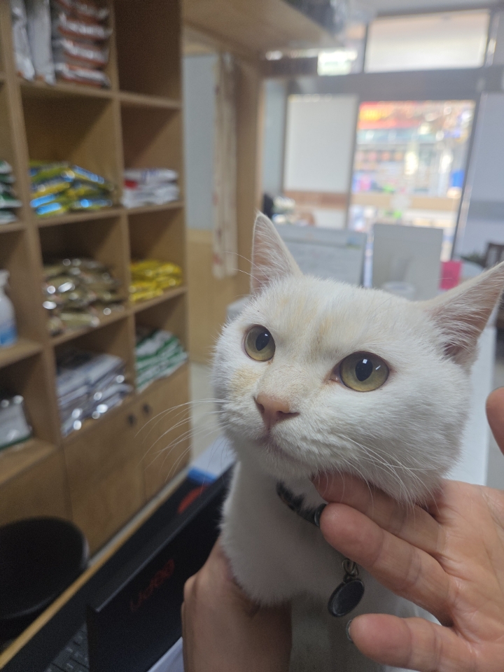 최종주동물병원_443444202500467