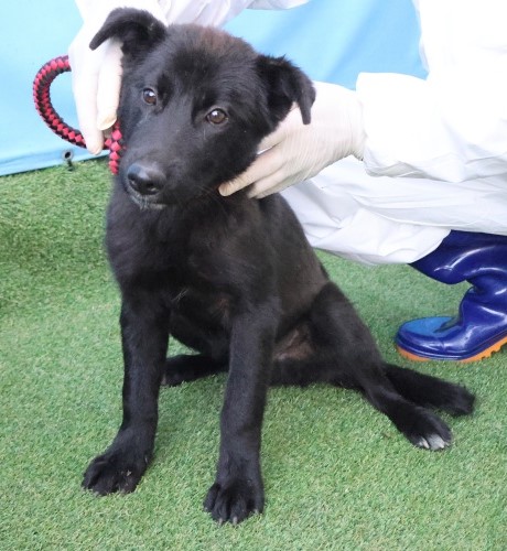 제주 동물보호센터_450650202503095