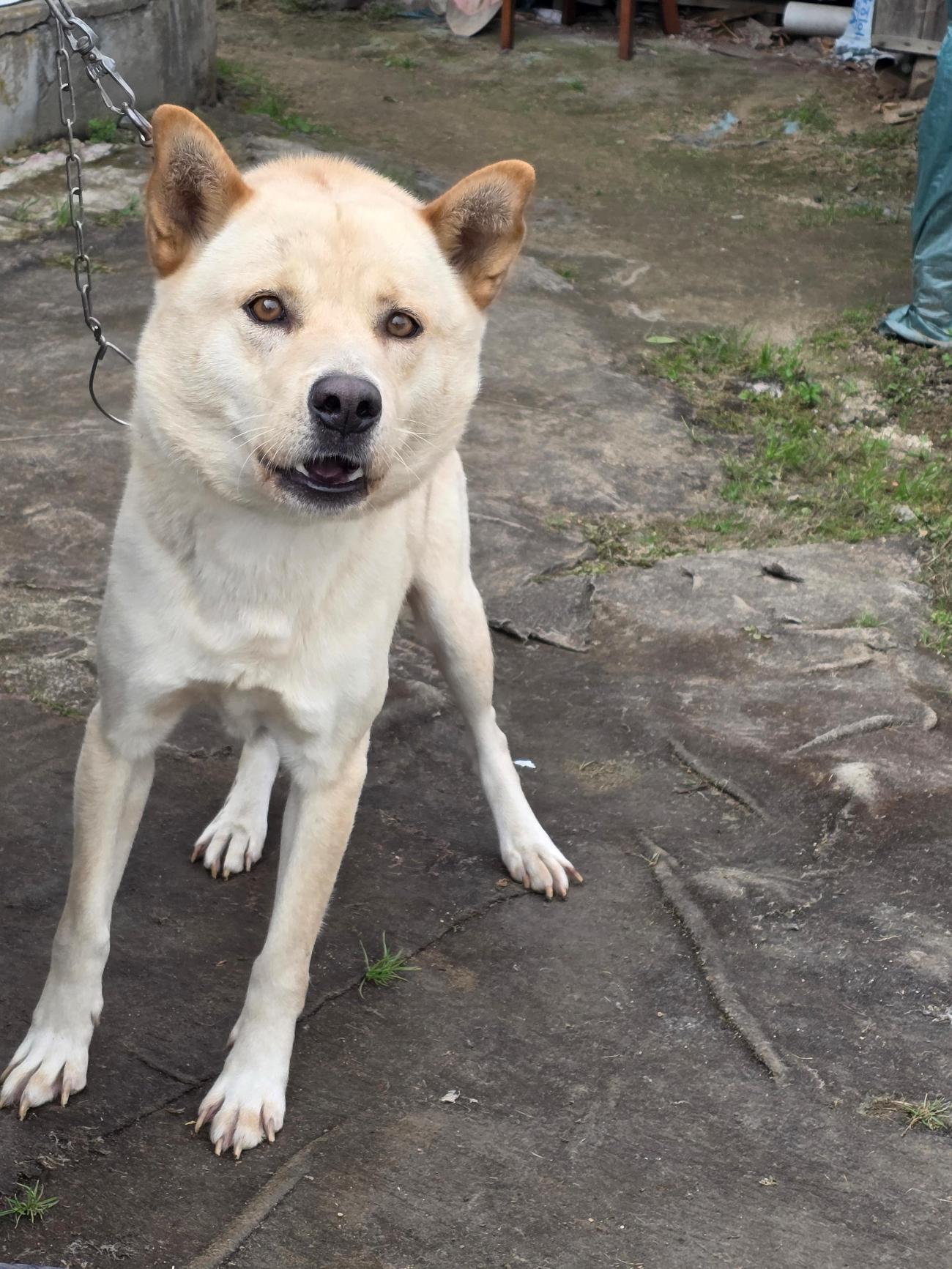 괴산증평동물보호센터_443446202500470