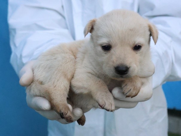 제주 동물보호센터_450650202503102