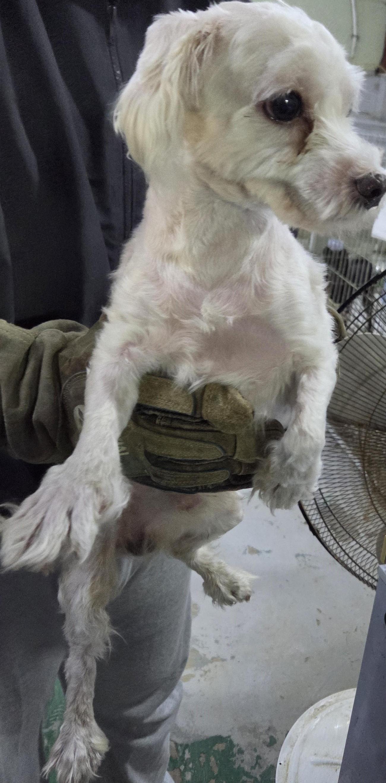 인천광역시수의사회_428351202500672