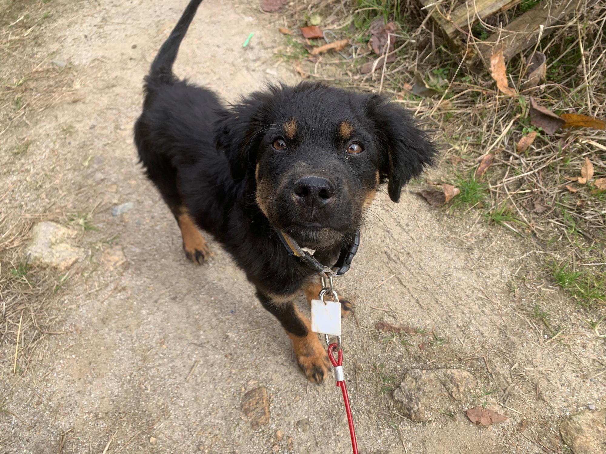 곡성군동물보호소_446486202500134